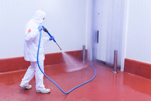 Best Dumpster Area Cleaning  in Nellis Af, NV